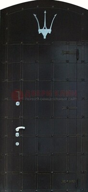 Металлическая арочная дверь ДА-22 высокого качества в Солнечногорске