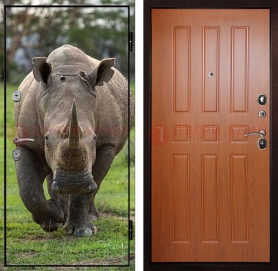 Металлическая дверь с фотопечатью носорога ДФ-31 в Солнечногорске